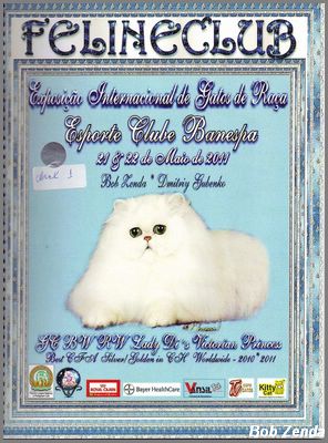 Show Catalog Cover